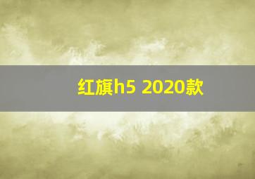 红旗h5 2020款